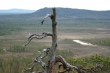 DSC00173.jpg