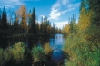 Arajoki(MA).jpg