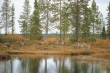 Hanhisoilla(MA).jpg