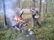 Kuva(955).jpg
