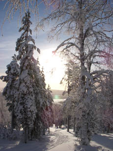 DSCN0248 kuva