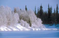 luiron_ranta