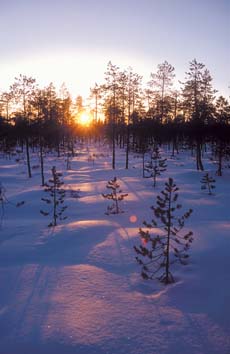 valon_voima