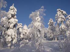 DSCN0233