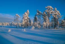 keskitalvenaurinko kuva